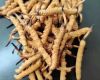 荆门冬虫夏草回收价格一般是多少|专业回收燕窝、海参、鹿茸、鱼翅、东阿阿胶