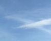 树懒能量分配的机器学习模型：代谢策略与可再生能源管理系统的优化设计