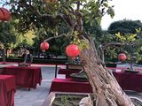 台州绿植盆栽租赁|永生花厂家，花艺空间设计